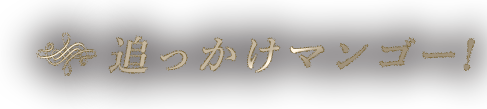追っかけマンゴー!