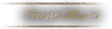 goodle map