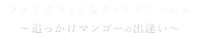 ～追っかけマンゴーの出逢い～